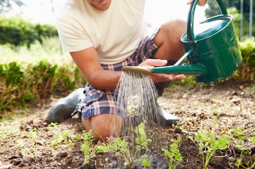 Tools used for gutter maintenance
