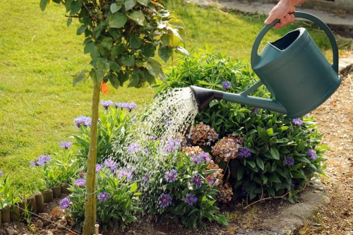 Healthy trees and shrubs cared for by professional gardeners