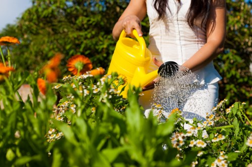 Smiling homeowner after driveway cleaning