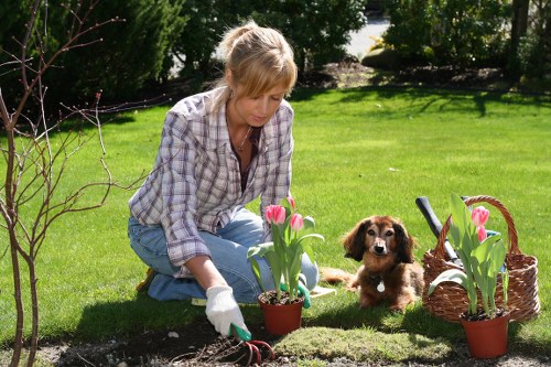 Comprehensive garden maintenance services in Cleaners W1S