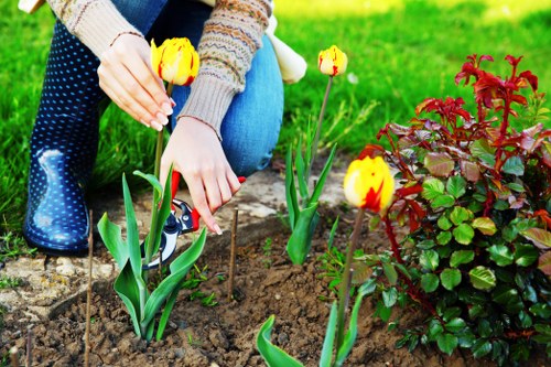 Latest cleaning trends and services in W1S